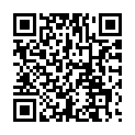 C&oacute;digo QR con el enlace al titular Aldaba -Conoce Toral