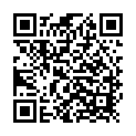 C&oacute;digo QR con el enlace al titular Que lo vuelen