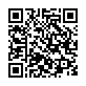 C&oacute;digo QR con el enlace al titular Presentado el festival friki 'Level up'