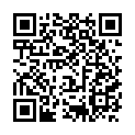 C&oacute;digo QR con el enlace al titular Fiestas Villadecanes 2012 y Druida
