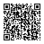 C&oacute;digo QR con el enlace al titular De Villota: 