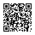 C&oacute;digo QR con el enlace al titular H&iacute;per &ndash; Rastro Villafranca -