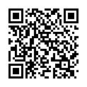 C&oacute;digo QR con el enlace al titular DÃ­a de LliÃ³n en L'Arribada 2009