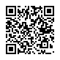 C&oacute;digo QR con el enlace al titular Fiesta de la Maja Toral 2012