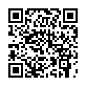 C&oacute;digo QR con el enlace al titular Intento de robo en casa de Guillermo