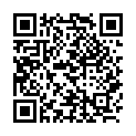 C&oacute;digo QR con el enlace al titular New Theme: Twenty Twelve
