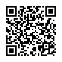 C&oacute;digo QR con el enlace al titular Panera Leonesa destruida