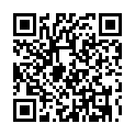 C&oacute;digo QR con el enlace al titular Verano Tassotti reaparece ante su pÃºblico