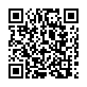 C&oacute;digo QR con el enlace al titular EL CHASCARRILLO: Retrasos