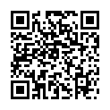 C&oacute;digo QR con el enlace al titular Custom Colors Previews All Around