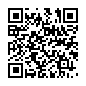 C&oacute;digo QR con el enlace al titular New Themes: Babylog and Delicacy