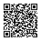 C&oacute;digo QR con el enlace al titular Ander VilariÃ±o se lleva el tÃ­tulo de la Nascar  europea