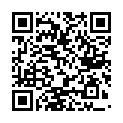 C&oacute;digo QR con el enlace al titular Ya tiene ubicaci&oacute;n definitiva el vag&oacute;n