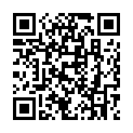 C&oacute;digo QR con el enlace al titular New Theme: Runo Lite