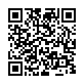 C&oacute;digo QR con el enlace al titular Los 33 de la vergÃ¼enza