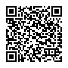 C&oacute;digo QR con el enlace al titular La Virgen cae ante el Ãvila (0-1)