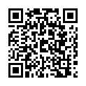 C&oacute;digo QR con el enlace al titular EL CHASCARRILLO: Los Nanetes