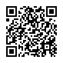 C&oacute;digo QR con el enlace al titular Otro perrito copiloto