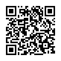 C&oacute;digo QR con el enlace al titular EL CHASCARRILLO: Vivan los novios