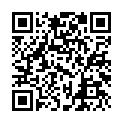 C&oacute;digo QR con el enlace al titular La Â‘perrera webÂ’, al galope