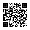 C&oacute;digo QR con el enlace al titular New Theme: Widely