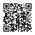 C&oacute;digo QR con el enlace al titular instant streaming disc netflix wii