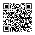 C&oacute;digo QR con el enlace al titular Red Hook Milano 2012