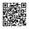 C&oacute;digo QR con el enlace al titular AUTORRETRRTERROTUA LANDSFAKE