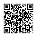 C&oacute;digo QR con el enlace al titular Roban un columpio para niÃ±os discapacitados del parque del dragÃ³n de La BaÃ±eza