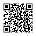 C&oacute;digo QR con el enlace al titular SEO: ahora que acaba el 2012&hellip;