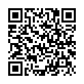 C&oacute;digo QR con el enlace al titular Air Conflicts