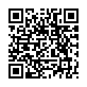 C&oacute;digo QR con el enlace al titular Botella destituye al vicealcalde por la tragedia del Madrid Arena