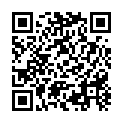 C&oacute;digo QR con el enlace al titular Vandalismo estacional