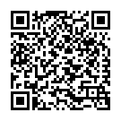C&oacute;digo QR con el enlace al titular Un tramo de avenida de la ConstituciÃ³n, cortado