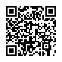 C&oacute;digo QR con el enlace al titular La nieve intenta llegar a Toral