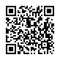 C&oacute;digo QR con el enlace al titular OcasiÃ³n &lsquo;Mini&rsquo;, a lo grande en Vayhauto