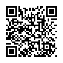C&oacute;digo QR con el enlace al titular GuÃ­a de Carnaval 2013 en El Bierzo