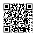 C&oacute;digo QR con el enlace al titular Bollinas de carnaval