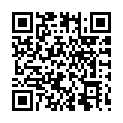 C&oacute;digo QR con el enlace al titular Pablo y Jorge al PandemÃ³nium Raid 2013.