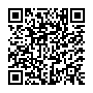 C&oacute;digo QR con el enlace al titular Una quincena de heridos en la Nascar de Daytona
