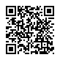 C&oacute;digo QR con el enlace al titular Retraso en El ToralÃ­n