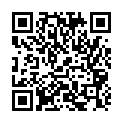 C&oacute;digo QR con el enlace al titular New Themes: Photographer, Superhero, and Sidekick