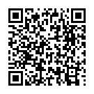 C&oacute;digo QR con el enlace al titular Campeonato Rally Provincial 2013 de Slot-ScalÃ©xtric