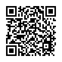 C&oacute;digo QR con el enlace al titular 'Lo mÃ¡s friqui' llega a los blogs de iLeon.com