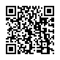 C&oacute;digo QR con el enlace al titular All About SEO on WordPress.com
