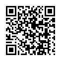 C&oacute;digo QR con el enlace al titular La Borriquilla mÃ¡s rÃ¡pida