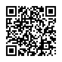 C&oacute;digo QR con el enlace al titular CalcetÃ­n