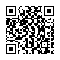 C&oacute;digo QR con el enlace al titular Dos heridos en un atropello en LeÃ³n capital