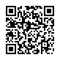 C&oacute;digo QR con el enlace al titular Customization Made Simple