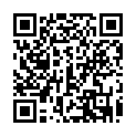 C&oacute;digo QR con el enlace al titular Informe sobre informe